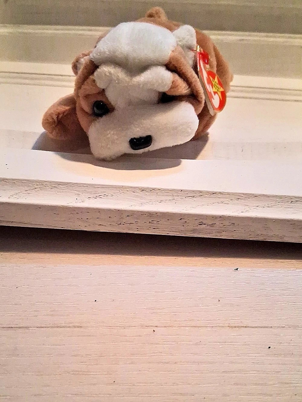 Ty Wrinkles the Bulldog Plush Dog Brown & White